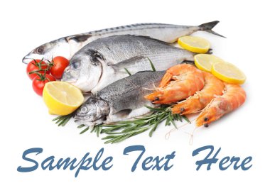 Taze deniz ürünleri ve beyaz arka planda ürünler. Metin için alanı olan tasarım