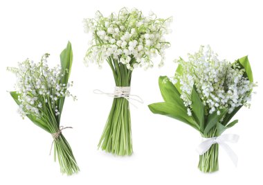 Beyaz çiçekli vadi zambakları, kolaj.