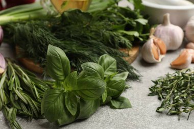 Gri masada farklı otlar ve baharatlar, yakın plan.