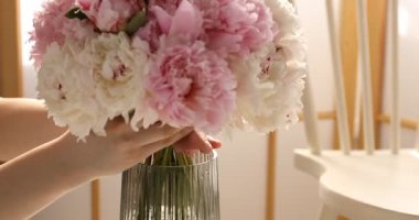 Güzel şakayıkları vazoya koyan kadın, yakın plan.