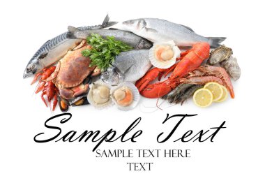 Beyaz arka planda farklı deniz ürünleri, üst manzara. Metin için alanı olan tasarım