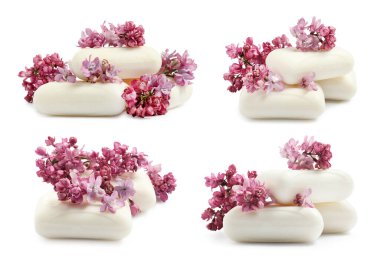 Sabun çubukları ve beyaza izole edilmiş aromatik leylak çiçekleri, kolaj