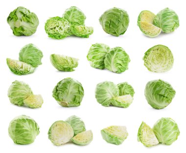 Beyaz arka planda taze lahana, kolaj