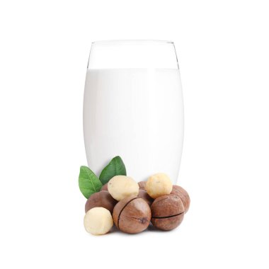 Bardakta fındık sütü ve beyaza izole edilmiş makadamialar.