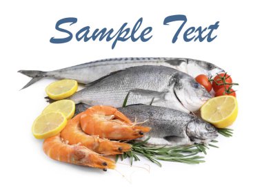 Taze deniz ürünleri ve beyaz arka planda ürünler. Metin için alanı olan tasarım