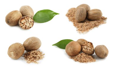 Nutmeg tohumları beyaz arkaplanda, hazır. Aromatik baharat