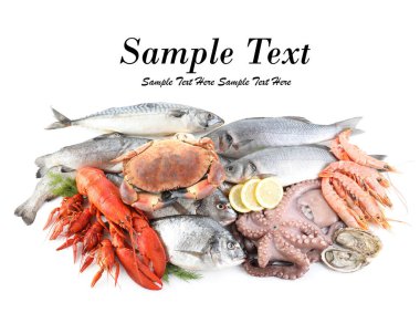 Beyaz arka planda farklı deniz ürünleri, üst manzara. Metin için alanı olan tasarım