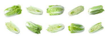 Taze Çin lahanası beyaza izole edilmiş, hazır.