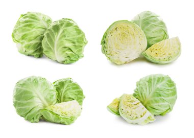 Beyaz arka planda taze lahana, kolaj