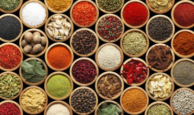 Siyah arka plandaki kaselerde farklı aromatik baharatlar seti. Pankart tasarımı