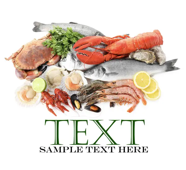 Beyaz arka planda farklı deniz ürünleri, üst manzara. Metin için alanı olan tasarım