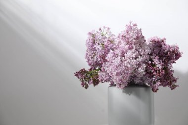 Beyaz masanın yanındaki vazoda güzel leylak çiçekleri, yakın plan. Metin için boşluk