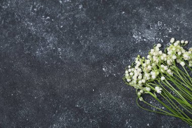 Siyah desenli arka planda, vadideki güzel zambak çiçekleri, düz uzanış. Metin için boşluk