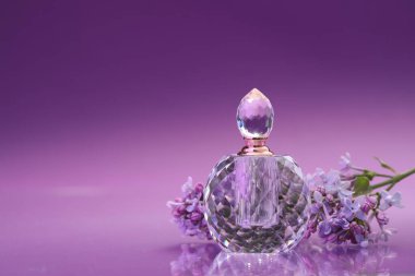 Bir şişe parfüm ve ayna yüzeyinde leylak çiçekleri olan bir dal. Renk eğilimli arka plan, yakın plan. Metin için boşluk