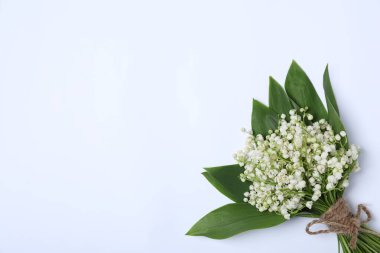 Beyaz arka planda, vadideki güzel zambak çiçekleri, üst manzara. Metin için boşluk