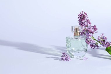 Parfüm şişesi ve açık gri arka planda leylak çiçekli dal. Metin için boşluk