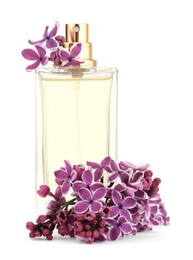 Bir şişe lüks parfüm ve beyaza ayrılmış leylak çiçekleri.