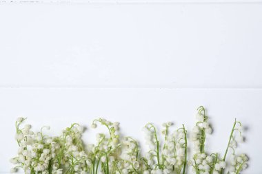 Beyaz ahşap arka planda, vadideki güzel zambak çiçekleri. Metin için boşluk