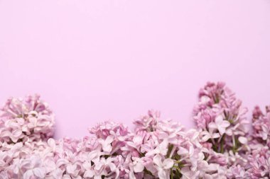 Pembe arka planda güzel leylak çiçekleri, manzaranın üstünde. Metin için boşluk