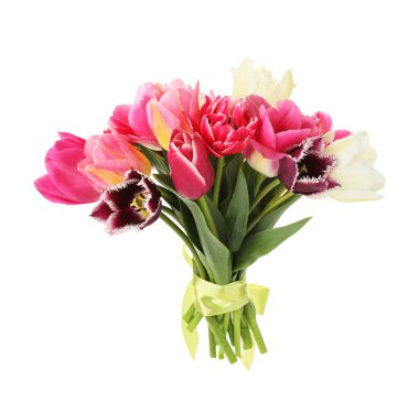 Beyaz izole güzel Lale buketi