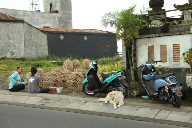 Bali, Endonezya - 18 Mayıs 2025: Bambu kafeslerinde horozları, köpekleri ve scooterları olan insanlar