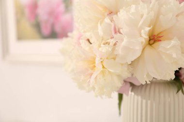 Beyaz arka planda bir buket güzel şakayık, yakın plan. Metin için boşluk