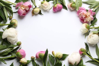 Beyaz arka planda güzel şakayık çiçekleri çerçevesi, düzlük. Metin için boşluk