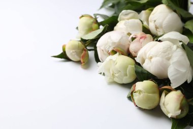 Beyaz masada güzel şakayık çiçekleri, yakın plan. Metin için boşluk