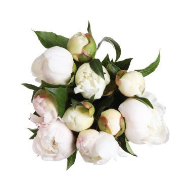 Güzel şakayık çiçeklerinden bir buket, beyaz, üst manzara