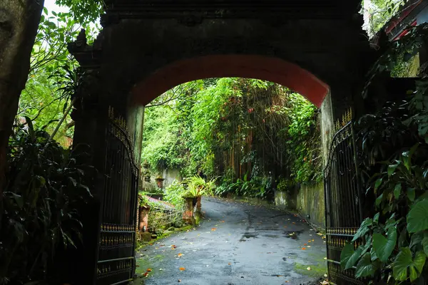 Şehirdeki güzel yeşil bitkilerin yakınındaki park girişi ve patika.