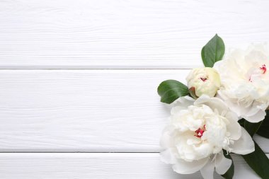 Güzel şakayıklar ve yeşil yapraklar beyaz ahşap masa üzerinde, düz yatıyordu. Metin için boşluk