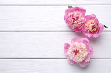 Beyaz ahşap masa üzerinde güzel şakayıklar, düz yatış. Metin için boşluk