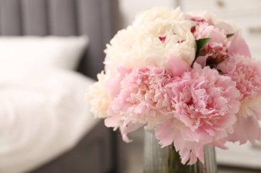 İçerideki vazoda güzel şakayıklar, yakın plan. Metin için boşluk