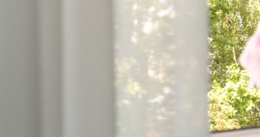 Pencere pervazındaki vazodaki güzel şakayıklar. Kamera sağa hareket ediyor