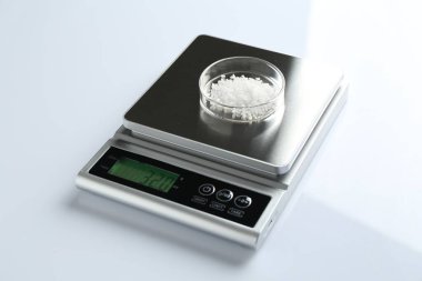 Beyaz arka planda Petri kabı ile laboratuvar ölçeği, yakın plan