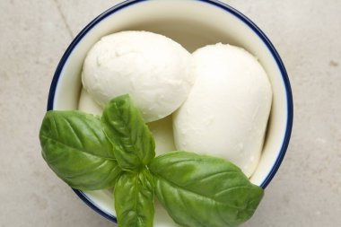 Işık masasında mozzarella peyniri ve fesleğen.
