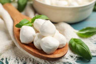 Mozzarella peynir topları ve fesleğen mavi ahşap masada, yakın plan.