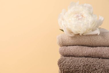 Bej arka planda bir yığın havlu ve şakayık çiçeği, yakın plan. Metin için boşluk