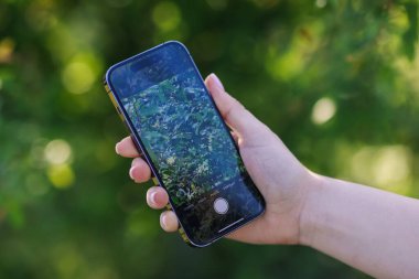 Açık havada akıllı telefondan bitki tanıma uygulaması kullanan bir kadın.