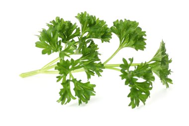 Beyaz maydanozlu taze maydanoz.