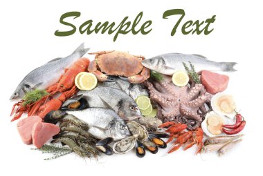 Beyaz arka planda farklı deniz ürünleri, üst manzara. Metin için alanı olan tasarım