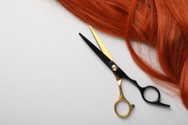 Işık arkaplan üzerinde saç teli ve makas, üst görüş. Metin için boşluk