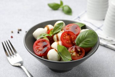 Mozarella, domates ve fesleğen ile nefis bir salata, yakın plan.