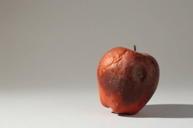 Açık gri arkaplanda bir çürük kırmızı elma. Metin için boşluk