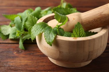 Taze limon merhemi yaprakları, ahşap masada tokmak ve havan topu, yakın plan.