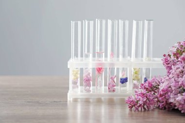 Lüks parfüm yapıyorum. Temel yağlar cam süslemede ve çiçekler açık ahşap masada, yakın plan. Metin için boşluk