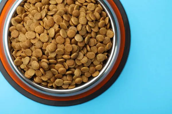 Açık mavi arka planda beslenme kabında kuru hayvan mamaları, üst manzara.
