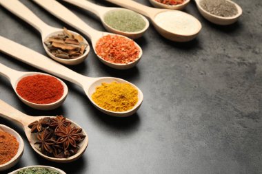 Gri masadaki kaşıklardaki farklı baharatlar, yakın plan. Metin için boşluk