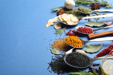 Mavi arka planda farklı aromatik baharatlar, yakın plan. Metin için boşluk