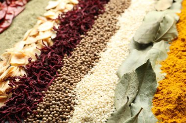 Arkaplan olarak birçok farklı baharat, yakın görünüm